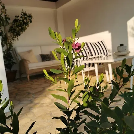 Sunset Apartment